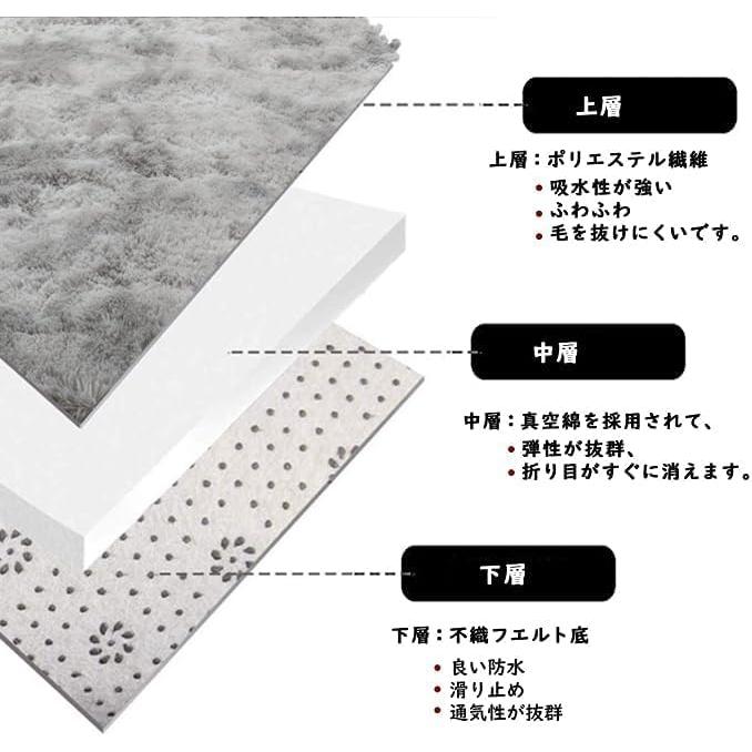 カーペット SpyFlyLie 洗えるラグ 北欧 長方形 ラグマット極厚毛足約