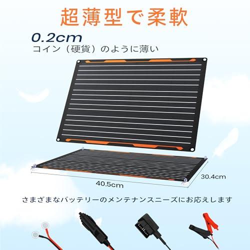 FlexSolar 車 ソーラーパネル トリクル充電キット20W 12V ソーラー充電