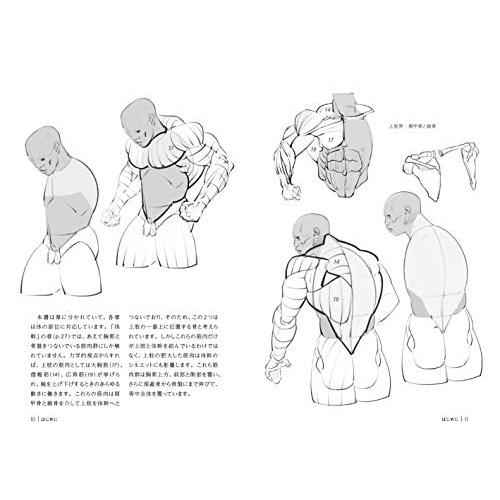 究極の筋肉ボディを描く (モルフォ人体デッサン ミニシリーズ