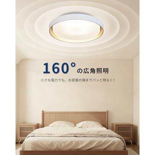 Hoshiakari Ledシーリングライト 16畳 60W 高輝度 リモコン・スマホ操作 8000lm 薄型 12段階調光調色 タイマー・メモ