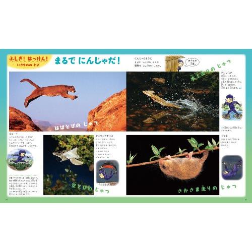 ふしぎの図鑑 Amazon.co.jp: ふしぎの図鑑 (小学館の子ども図鑑プレNEO) : 白數 哲久: 本