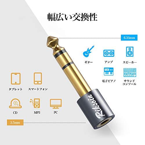3.5mm ⇒ 6.35mm 変換 プラグ RIKSOIN (1個) ステレオミニプラグ (メス