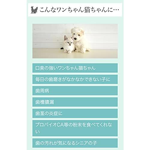 犬猫の歯みがき、口臭対策に 歯石、歯周病、歯槽膿漏にもプロバイオ