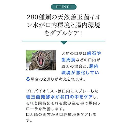 犬猫の歯みがき、口臭対策に 歯石、歯周病、歯槽膿漏にもプロバイオ
