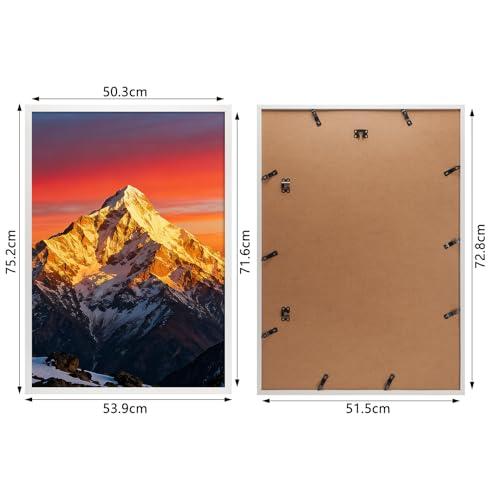 額縁　縦78cm x 横71.8cm x 厚み2.5cm FUJICOLOR 木製額縁 M20 半切 | アサヌマネットショップ
