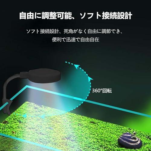 中型ガラス水槽 LEDライト付き 中型ガラス水槽 LEDライト付き 71iDWr2A2zL._UF894,1000_QL80_.jpg