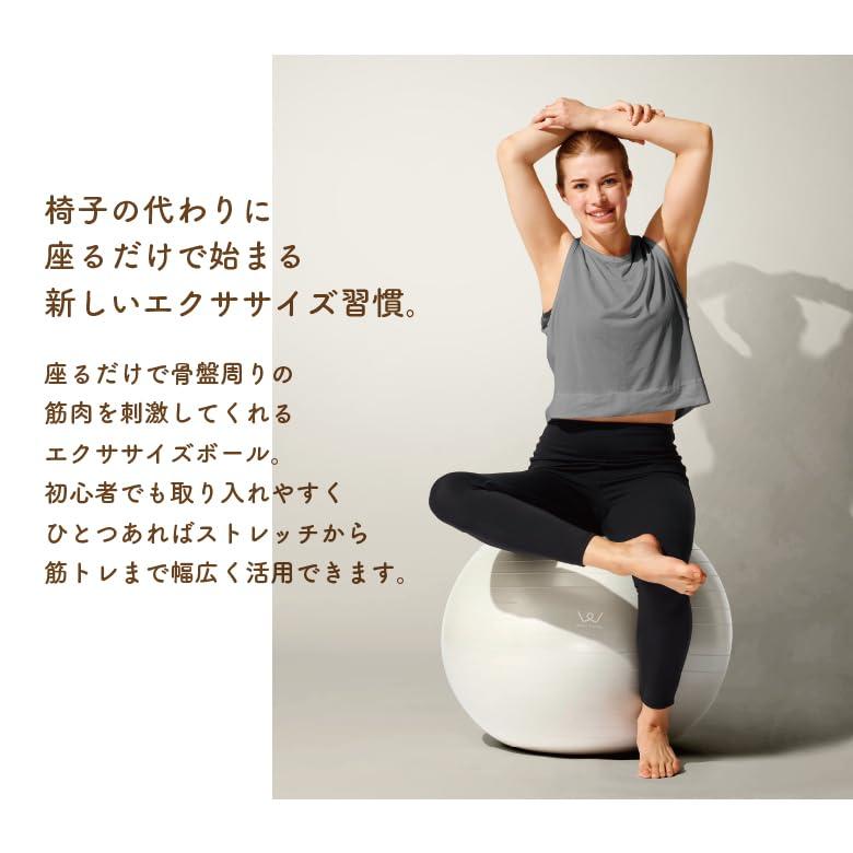 アルインコ(ALINCO) バランスボール 直径65cm コンパクト 椅子