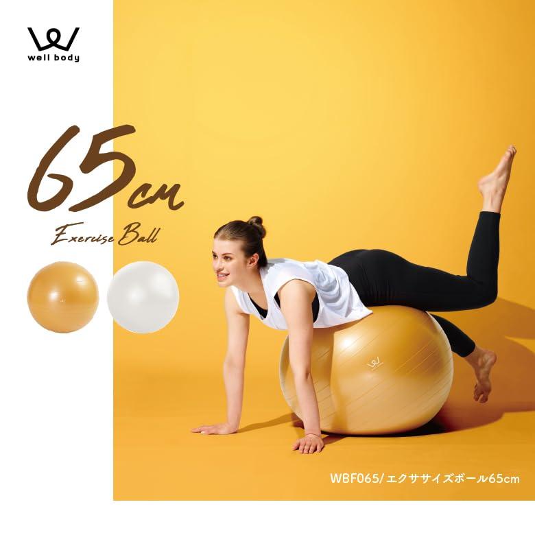 アルインコ(ALINCO) バランスボール 直径65cm 椅子 スツール 軽量 空気