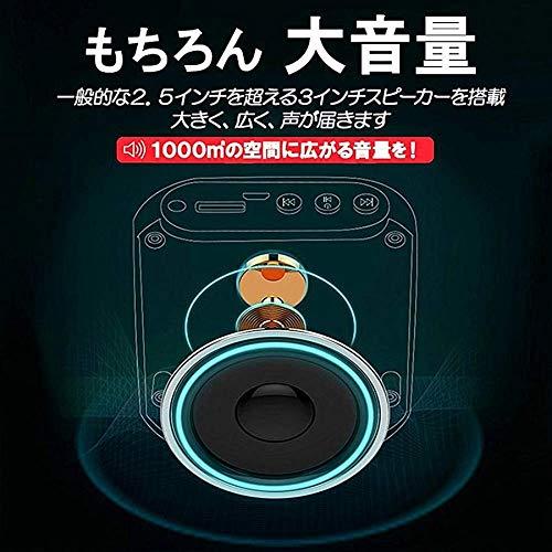 Yi Tong ポータブル 拡声器 ハンズフリー ヘッドセット マイク 付 スピーカー 音楽再生 USB microSD 対応 イベント・講演 ...