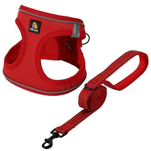 BELLA & PAL 犬ハーネス 首輪 胴輪 訓練用 老犬介護 歩行補助 BELLA & PAL 犬用 ハーネス 首輪 胴輪 大型犬 小型犬 中型犬 訓練用 犬