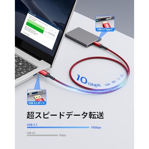 SUNGUY USB Type C ケーブル 0.3M USB3.1 Gen2 10Gbpsデータ転送