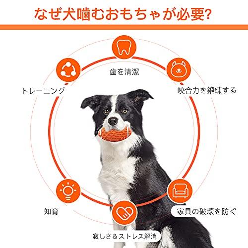 AUSCAT 犬おもちゃ 犬噛むおもちゃ 音が出る 小型犬・中型犬