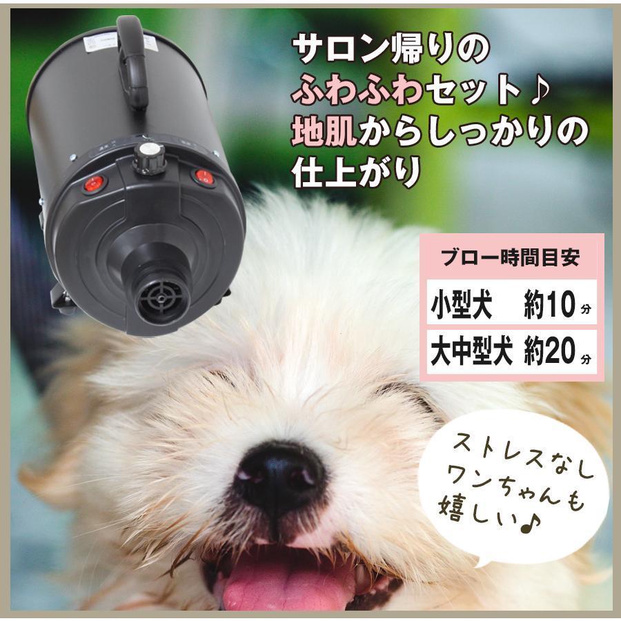 ペットドライヤー ペット用 業務用 犬 ペットヘアードライヤー 大型犬 ブロワー 無段階速度制御 送風機 3つノズル付き 強力 静か 静音 ペットドライヤー ペット用 業務用 ペットヘアードライヤー 大型犬 ブロワー 無段階速度制御 送風機 3つノズル付き 強力 静か 静音