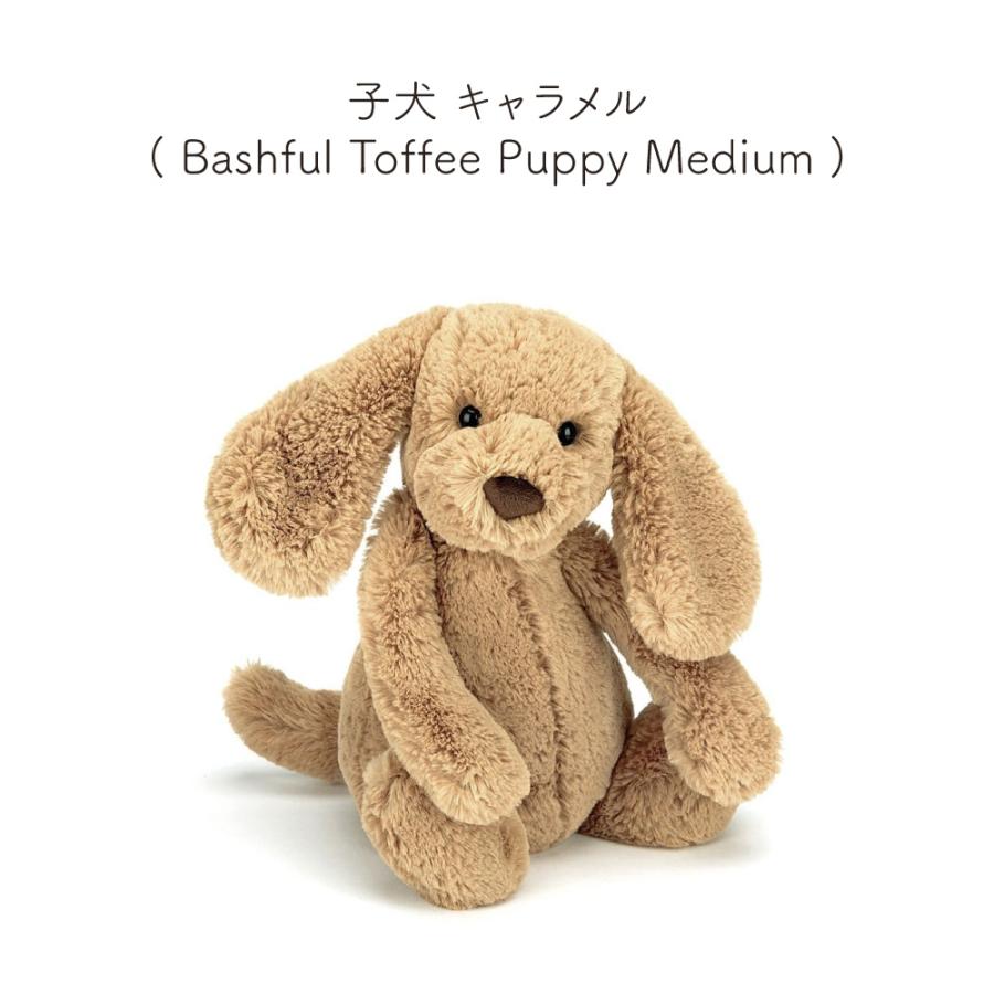 JELLYCAT Bashfuls Mサイズ jellycat Medium ジェリーキャット 動物 ぬいぐるみ ファーストトイ ふわふわ 子ども 孫 大人 プレゼント  出産祝い | JELLY CAT | 14