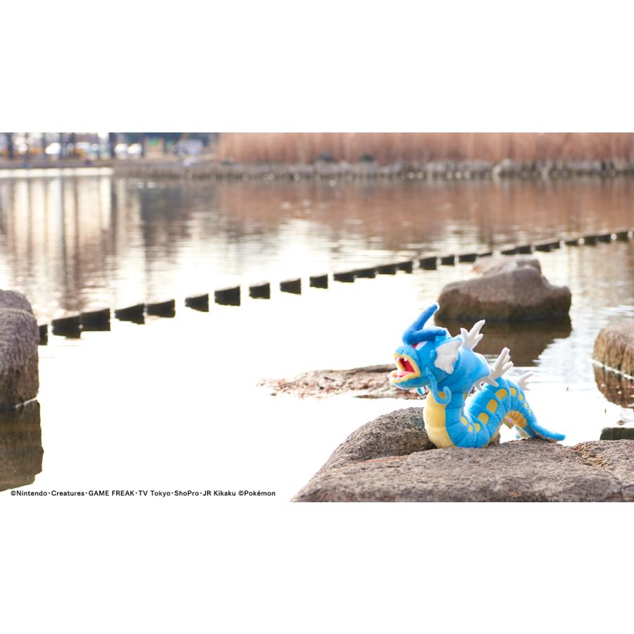 Pokemon（ポケモン） タカラトミーアーツ キミにきめた！ポケモン