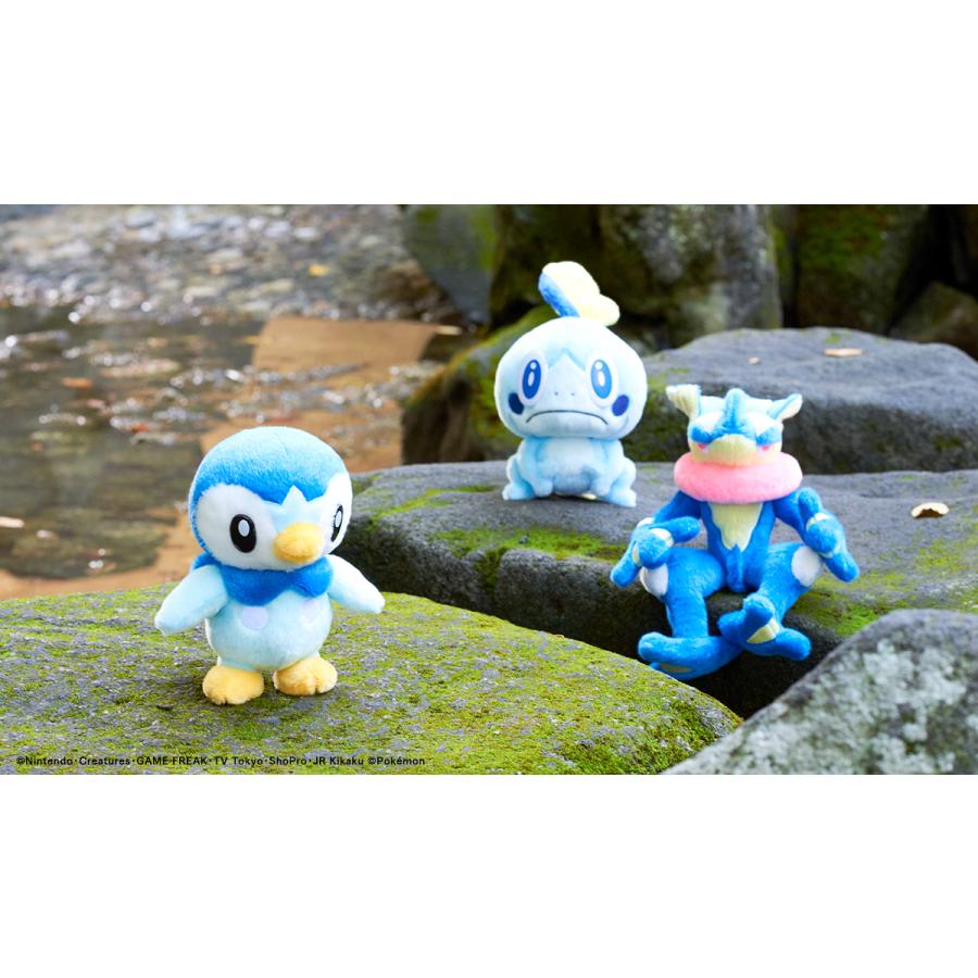 Pokemon（ポケモン） タカラトミーアーツ キミにきめた！ポケモン