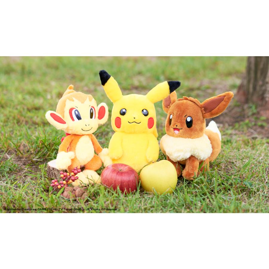 Pokemon（ポケモン） タカラトミーアーツ キミにきめた！ポケモン