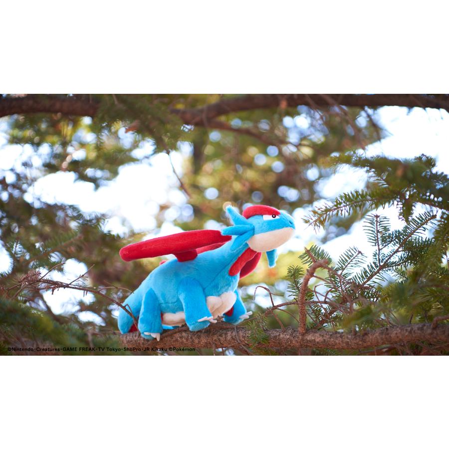 Pokemon（ポケモン） タカラトミーアーツ キミにきめた！ ポケモン