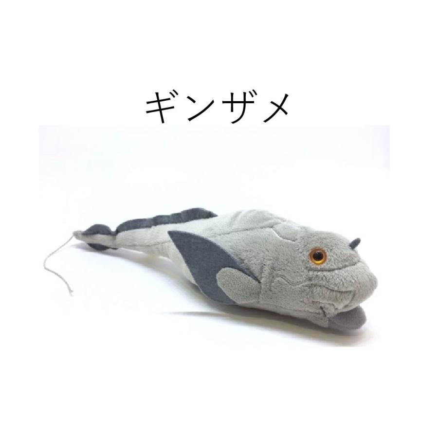 しんかいさん ギンザメ ぬいぐるみ ティーエスティーアドバンス TST