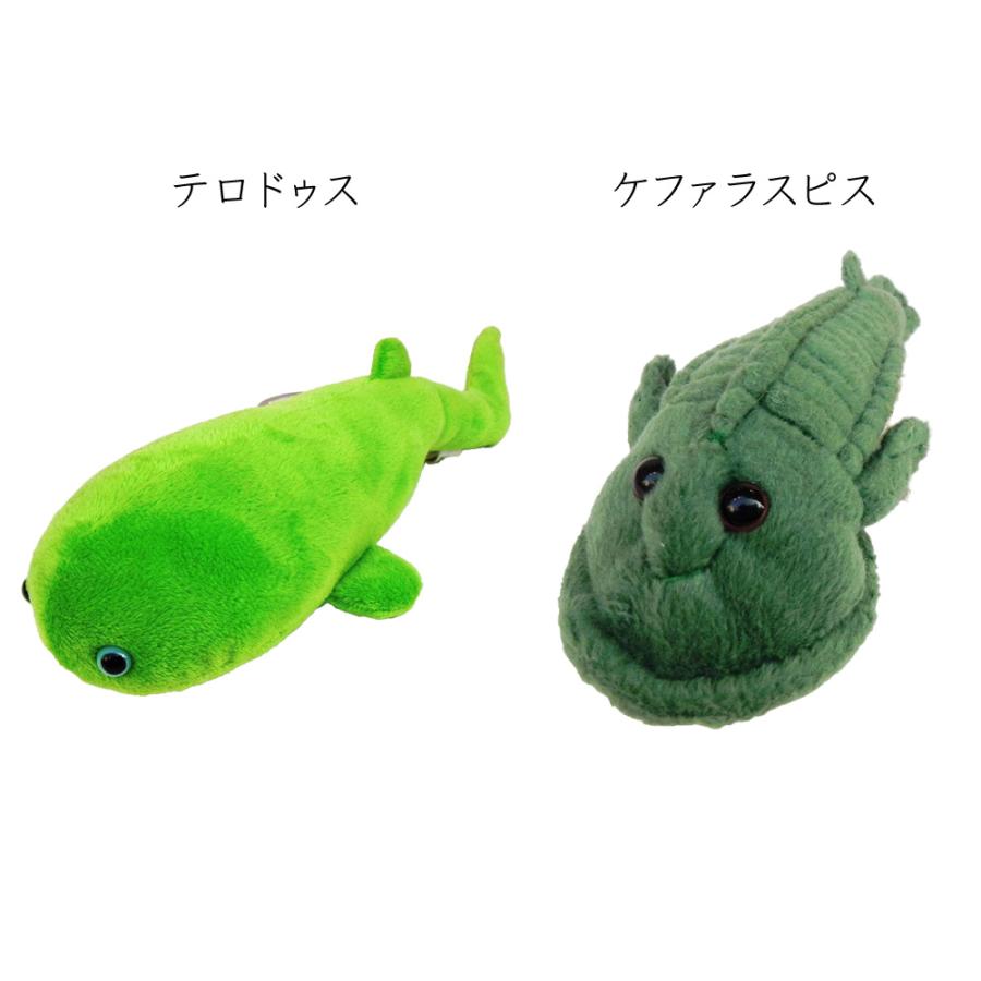 古代生物 ハイコウイクチス ディッキンソニア テロドゥス 古代生物 ハイコウイクチス ディッキンソニア テロドゥス