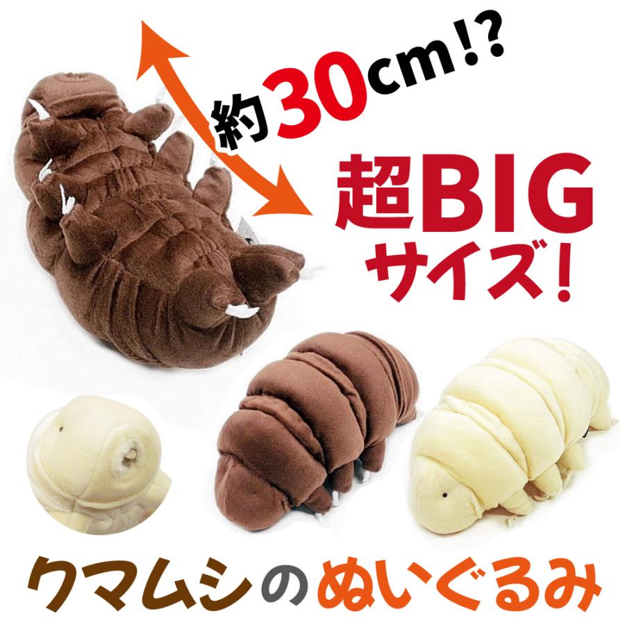 クマムシ ぬいぐるみ 最強生物 ドゥダルジャンヤマクマムシ ヨコヅナ