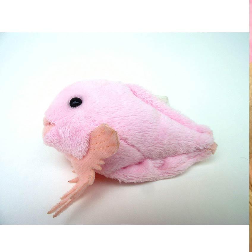 Little Beans ぬいぐるみ タガメ サンショウウオ カブトエビ