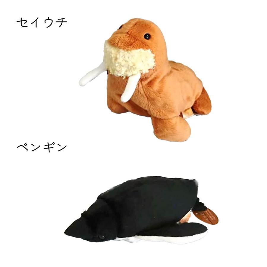 Little Beans Mサイズ イルカ シロイルカ カメ アザラシ アシカ