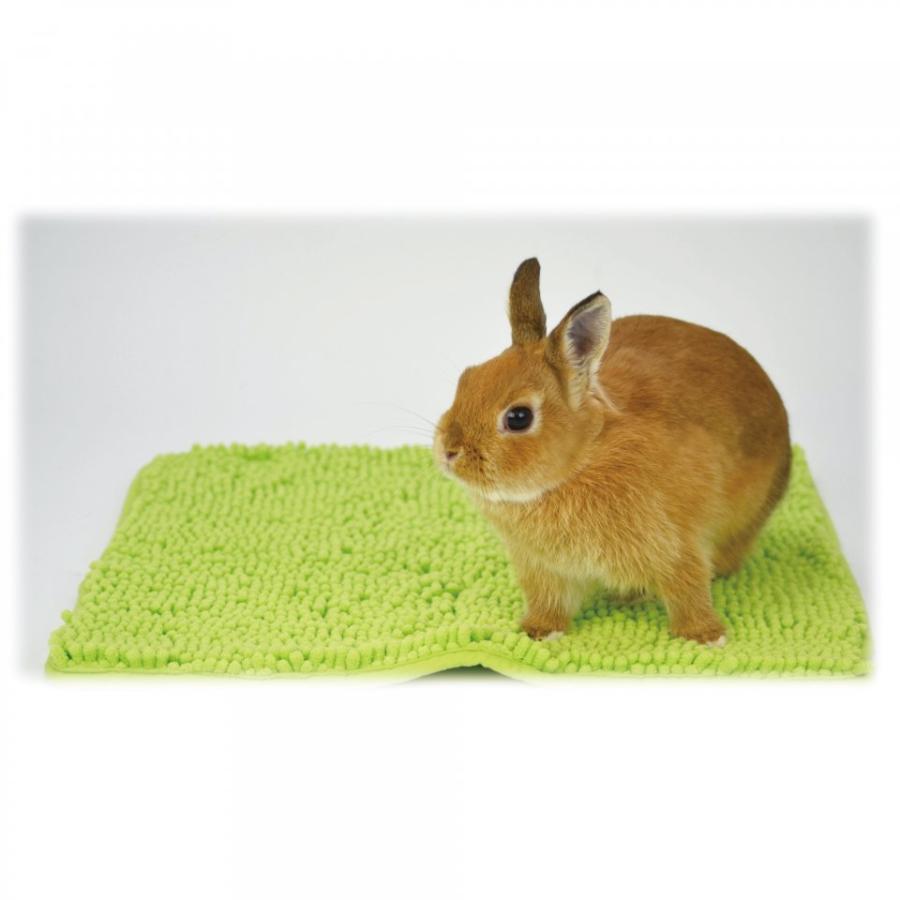 うさぎの足裏清潔マット 三晃商会 お手入れ ケア うさぎ