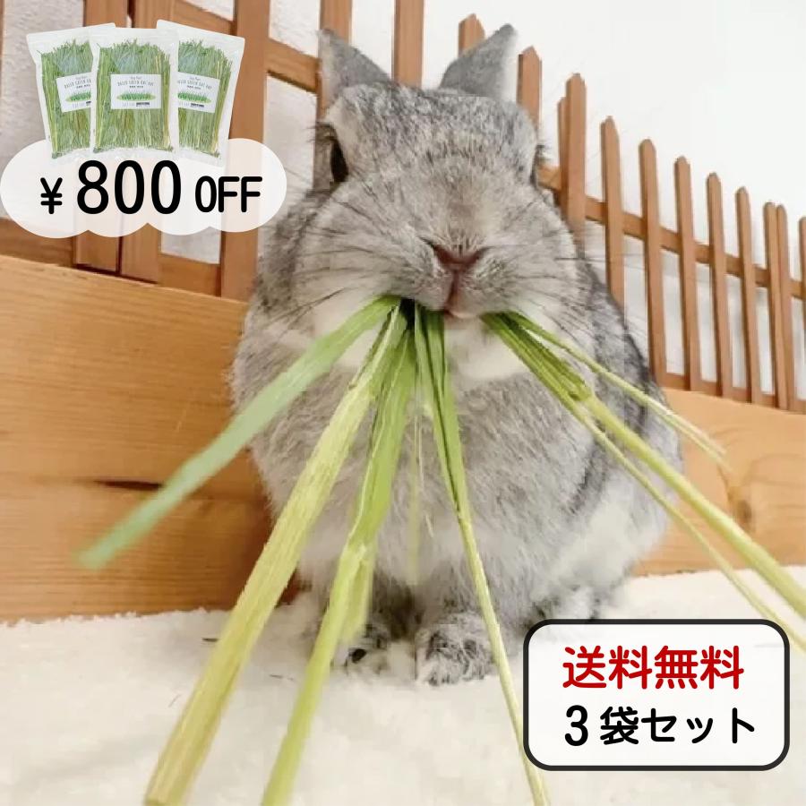 オーツヘイ うさぎさんの頬張る 緑のオーツヘイ 草原の味 70g 3袋 国産 無農薬 無添加 うさぎ 牧草 うさぎハート うさぎのおやつ Usagi Heart 安心と信頼