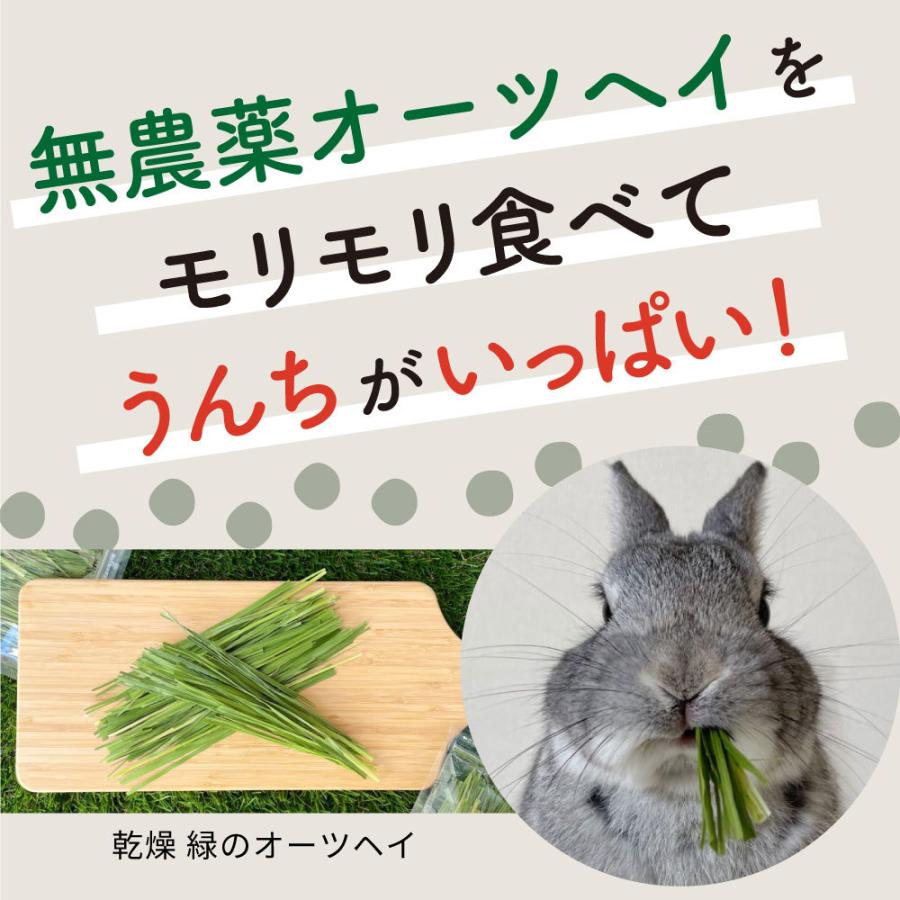 オーツヘイ うさぎさんの頬張る緑のオーツヘイ ストレート 70g×12袋