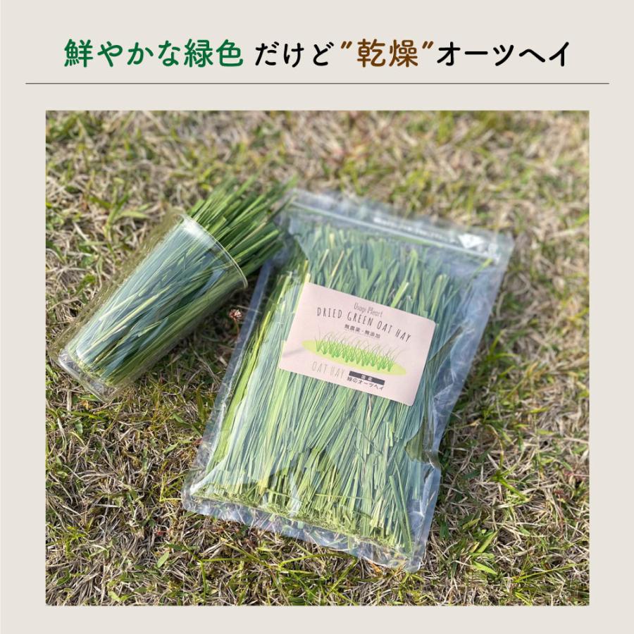 オーツヘイ うさぎさんの頬張る緑のオーツヘイ ストレート 70g×12袋