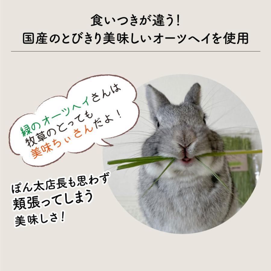 オーツヘイ うさぎさんの頬張る緑のオーツヘイ ストレート 70g×12袋