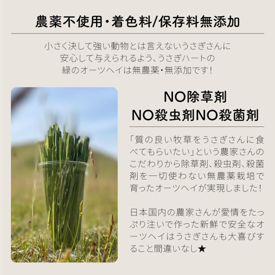 オーツヘイ うさぎさんの頬張る緑のオーツヘイ ストレート 70g×12袋