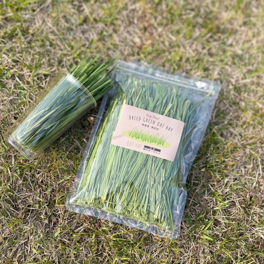 うさぎさんの頬張る 緑のオーツヘイ 草原の味 70g 国産 無農薬 無添加 うさぎ 牧草 うさぎハート うさぎのおやつ Usagi Heart Usagiheart Snack34 A Style Yahoo Shop 通販 Yahoo ショッピング