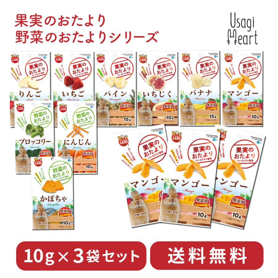 果実 野菜のおたより 3袋セット いちご バナナ マンゴー パイン りんご