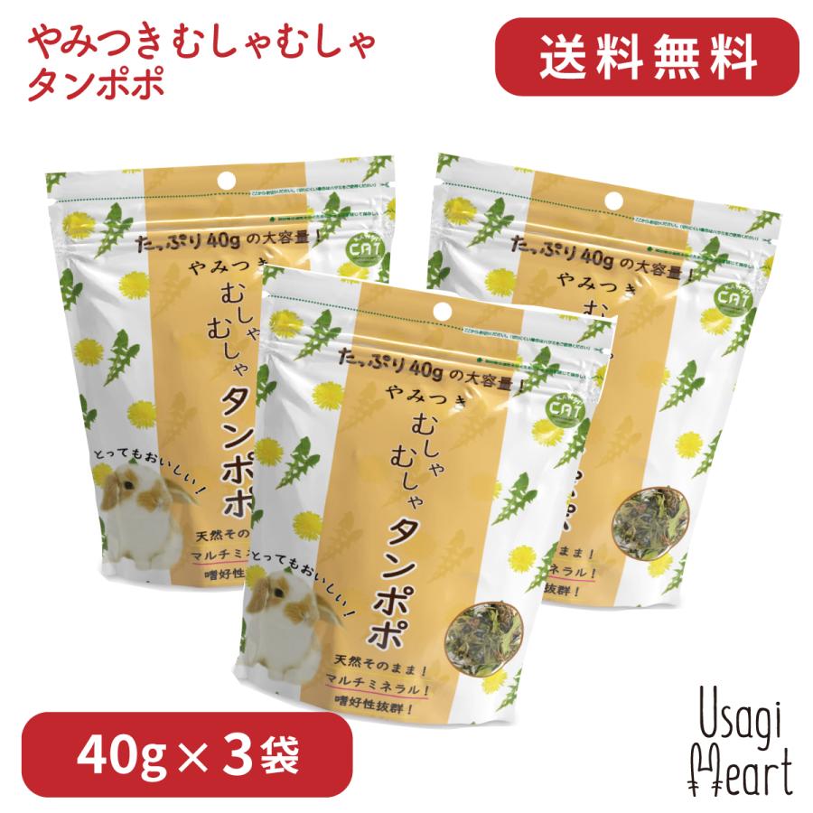 やみつき むしゃむしゃタンポポ 40g×3袋 カワイ おやつ うさぎのおやつ