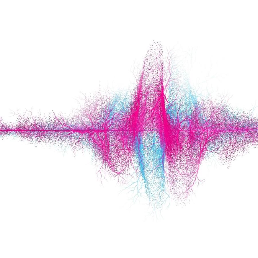音楽 (通常盤) (特典なし)