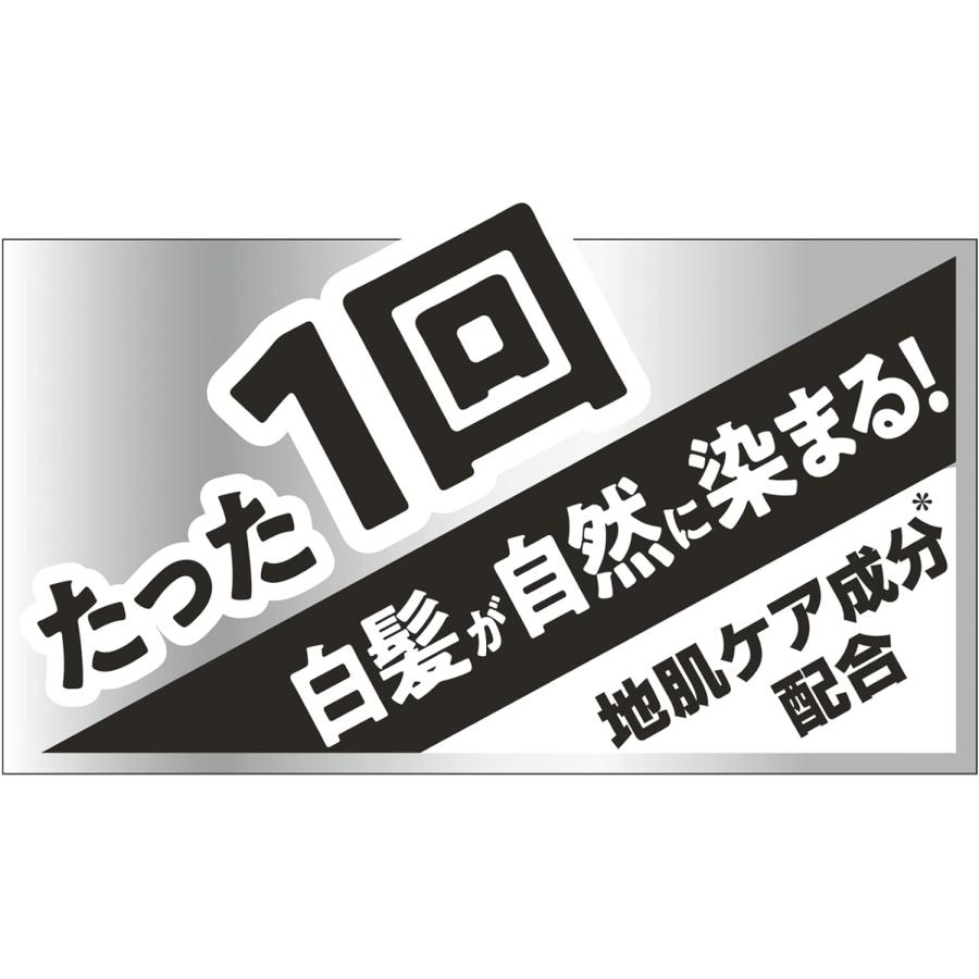 【サイオス】 カラートリートメント FOR MEN ナチュラルブラック(ヘアカラー 男｜a01｜06