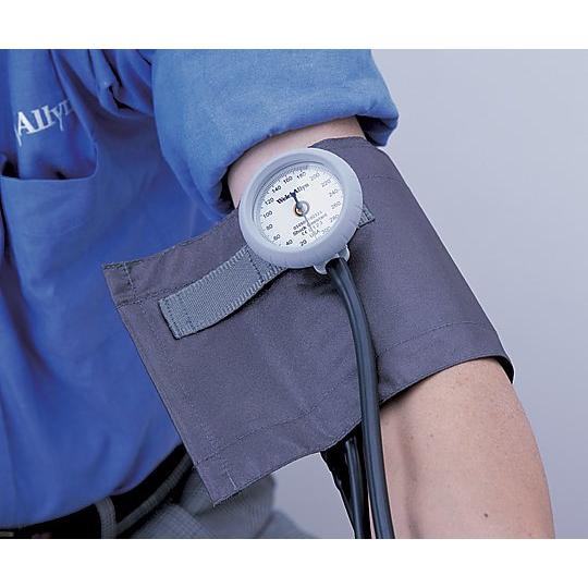 アイゼンコーポレーション ギヤフリーアネロイド血圧計 グレー GF700