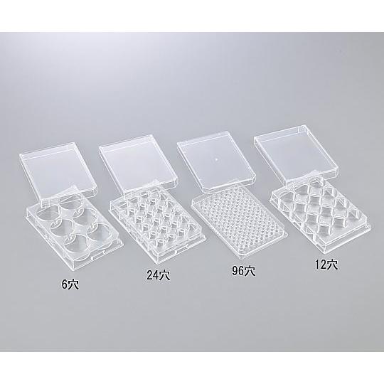 12穴プレート 平底 カバー付 滅菌済 60枚入 ステム P12F01S (1-8355-04)