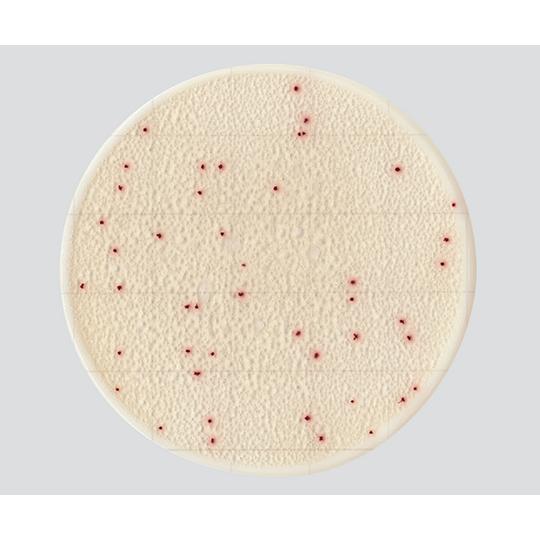 EasyPlate 一般生菌数測定用 25枚/袋×4袋入 AC キッコーマンバイオケミファ 61973 (4-5420-01) : A1 ...