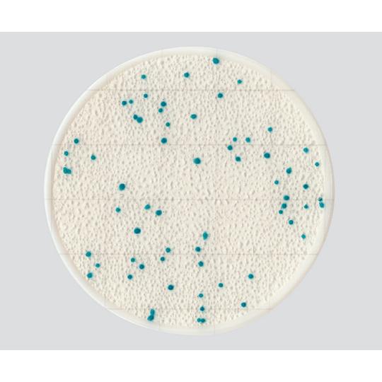 EasyPlate 大腸菌群数測定用 25枚/袋×4袋入 CC キッコーマンバイオケミファ 61974 (4-5420-02)_1