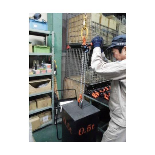 日本超安い 象印チェンブロック レバーホイスト・0.5t・2m YAD-00520 (61-2977-58)