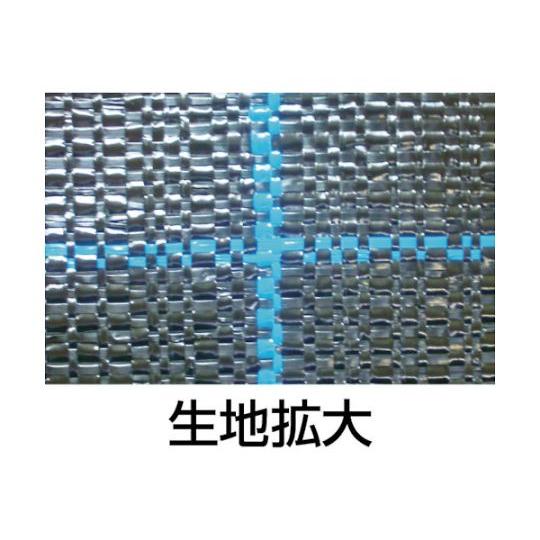 強力防草シートBB2218-2×100 ブラック 日本ワイドクロス BB2218-2X100 (61-8732-78)
