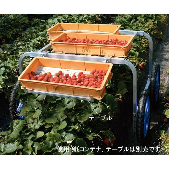 楽太郎 いちご収穫・植付け用台車 ハラックス RA-80 (61-9706-97)_1
