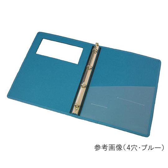 カルテブック ウィンドウタイプ B5 26穴 グリーン 10冊入 サンリーフ SKW-530-26GR (62-2920-32)_3