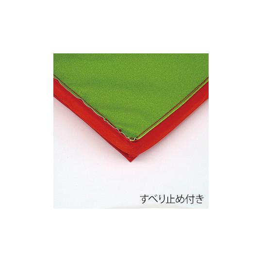 エコ・抗菌カラーマット すべり止付 120×240×5cm 黄 エバニュー EKM027-400 (63-2967-84)_1