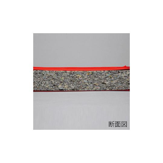 屋内外兼用体操マット 120×300×5cm 黄 エバニュー EKM416-400 (63-2971-78)_1