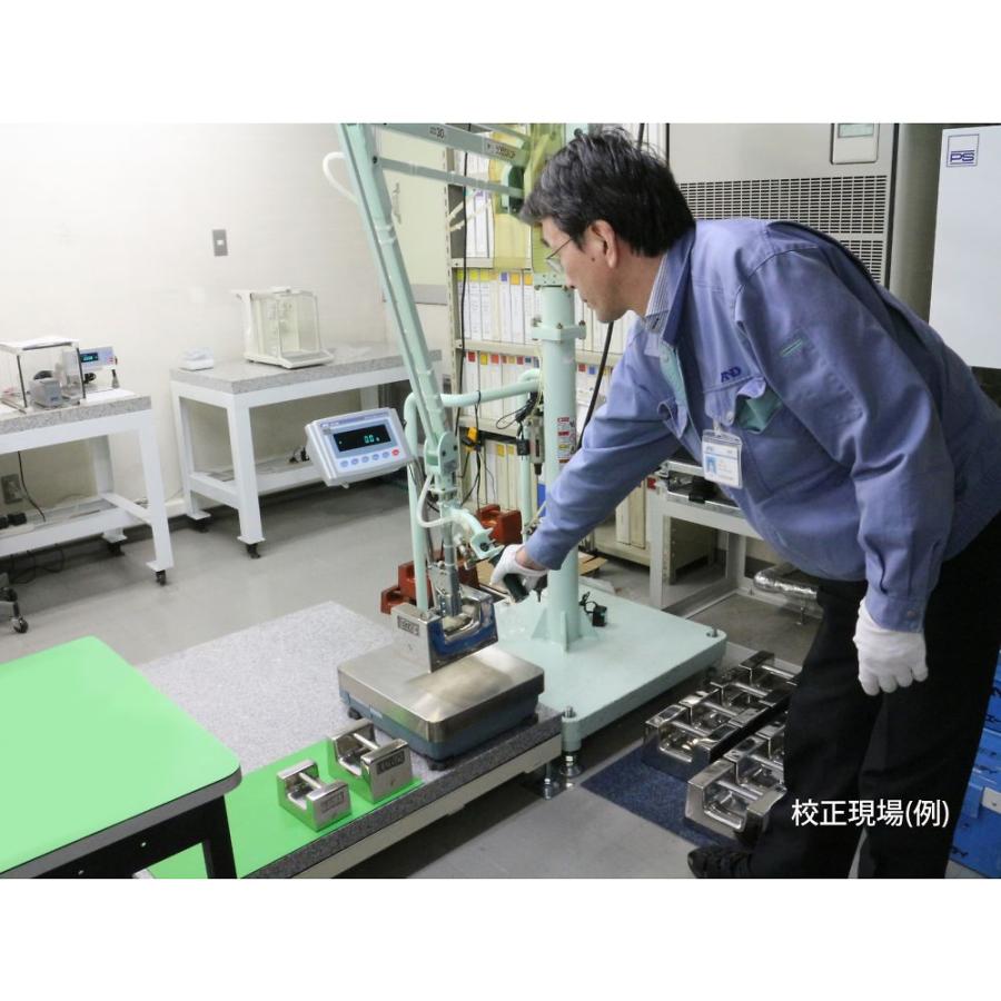 フレーム 鉄製 防塵・防水台はかり SEシリーズ 秤量:60kg 最小表示:10g 一般校正付 SE60KAM-JA-00A00 64-4052-76_3