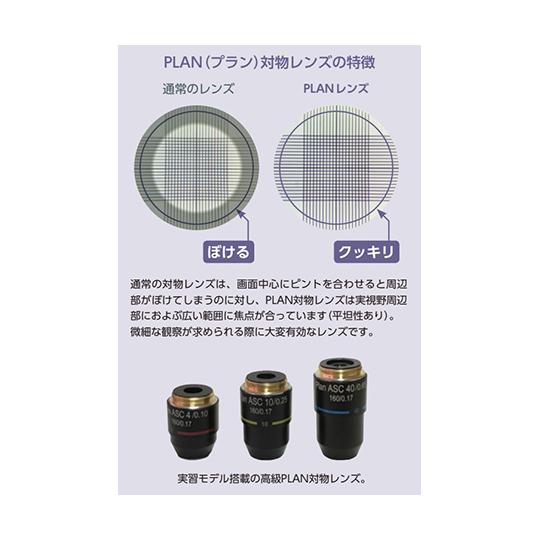 生物顕微鏡 プランレンズ仕様 BA81-6SP 島津理化 114-341 (64-5162-30)の画像